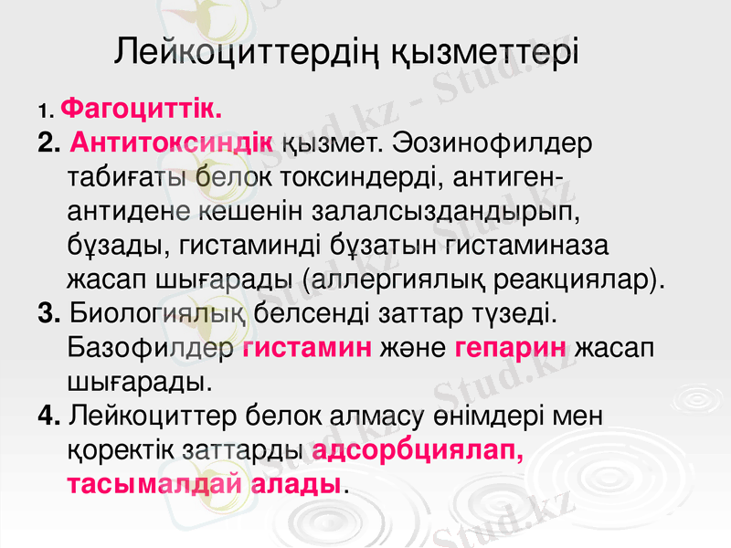 Slide 22