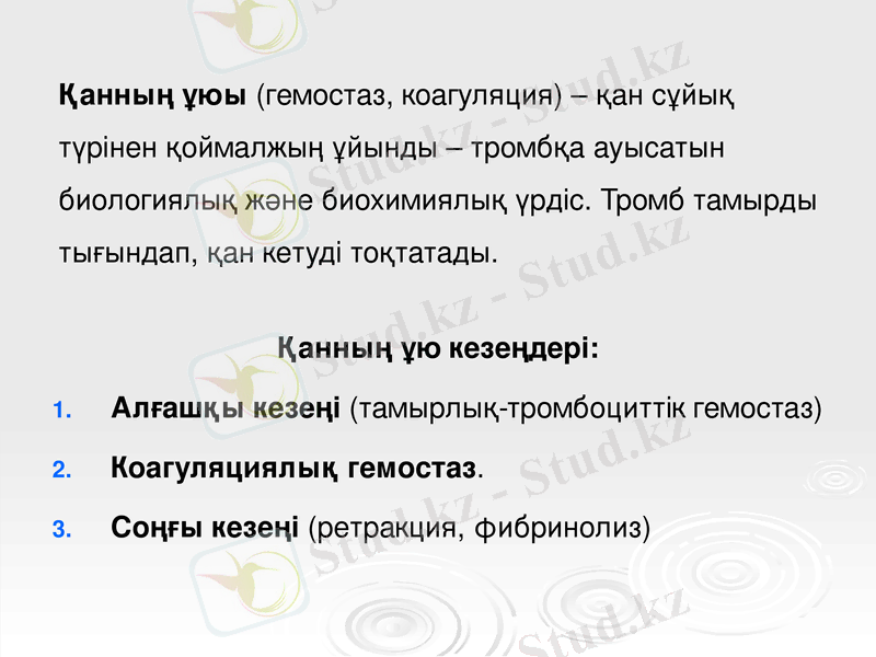 Slide 25