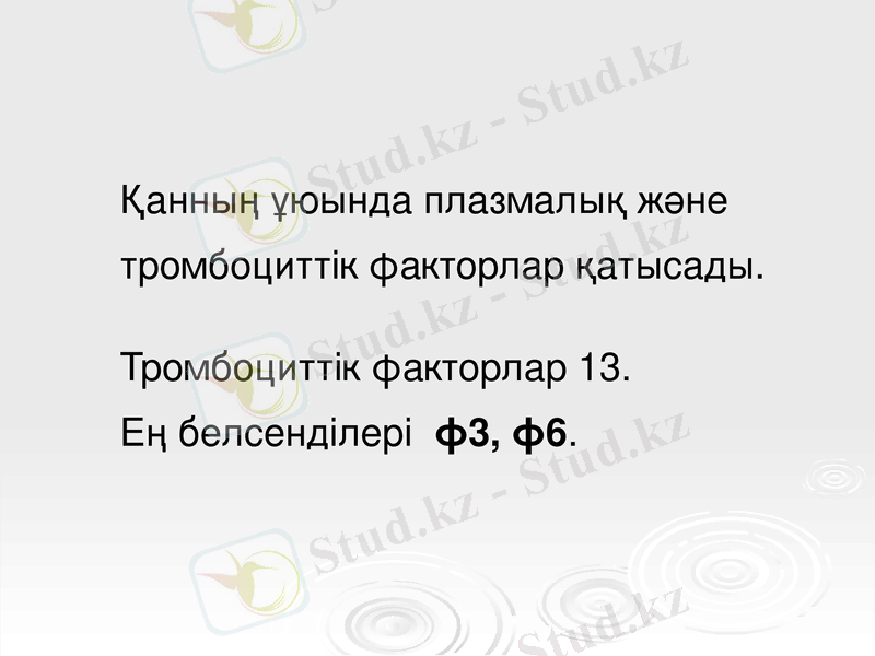 Slide 26