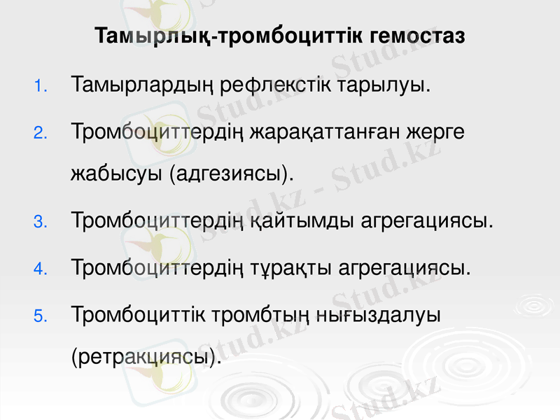 Slide 28