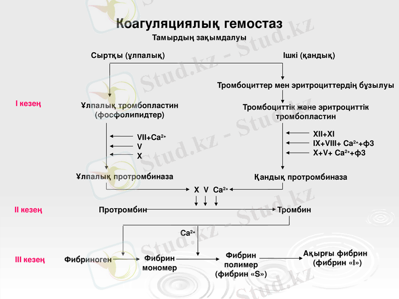Slide 29
