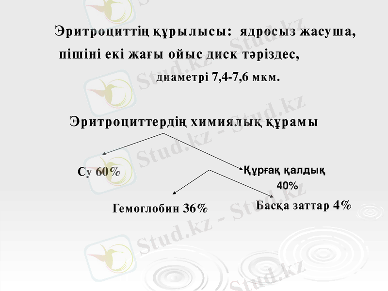 Slide 9