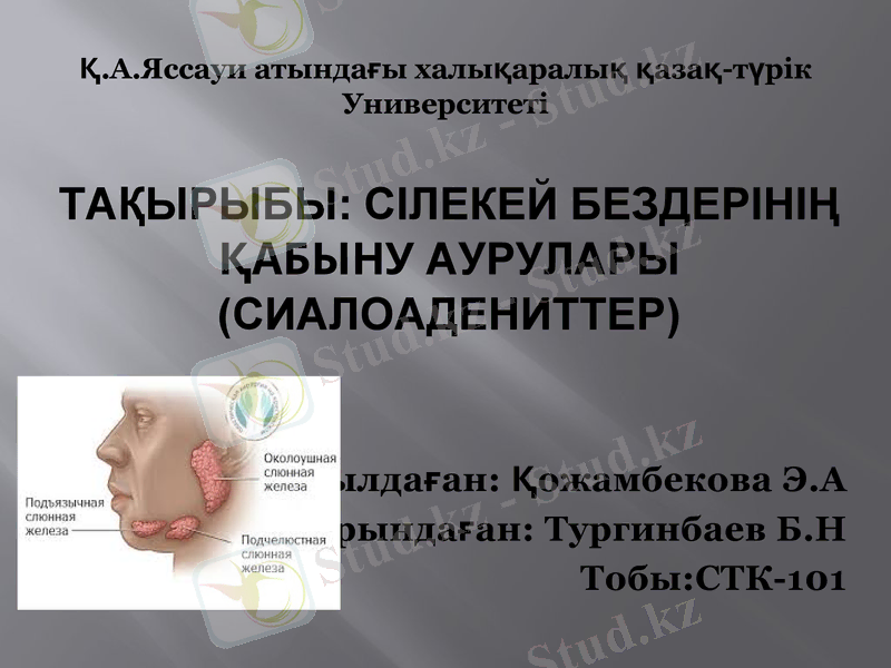 Slide 1