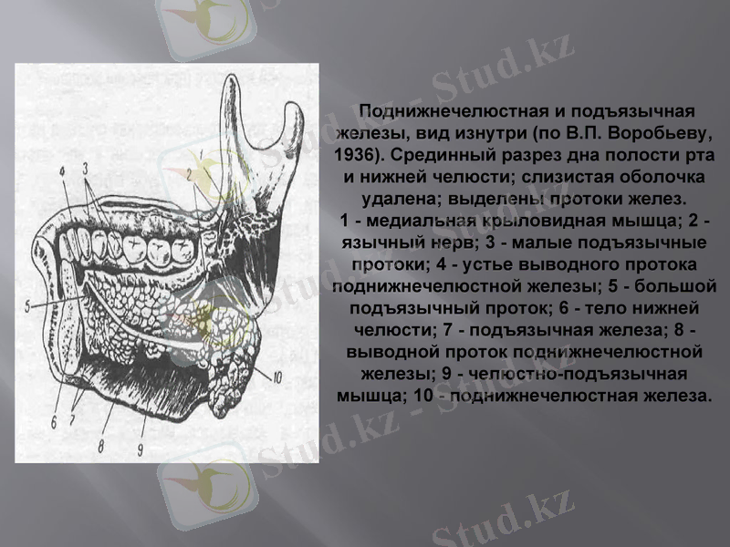 Slide 10