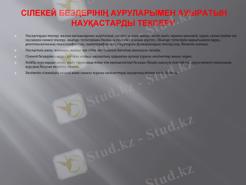 Slide 11