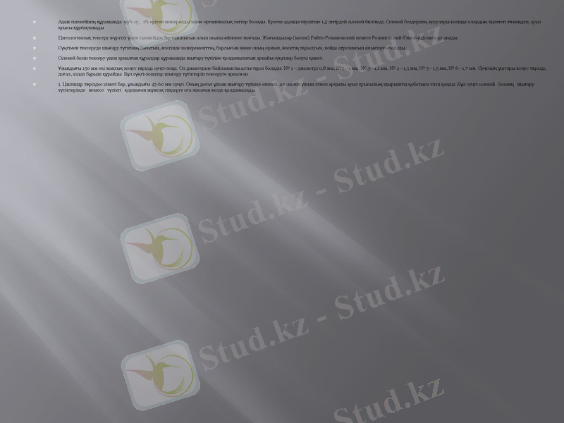 Slide 13