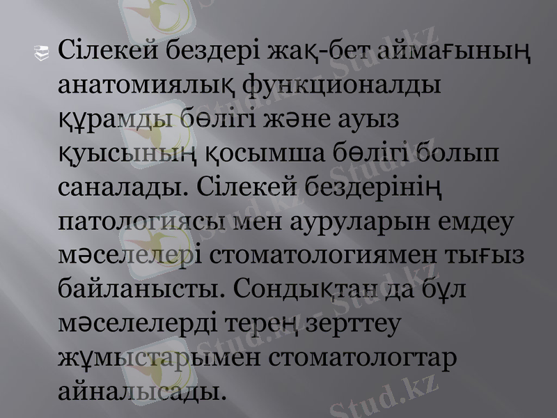 Slide 2