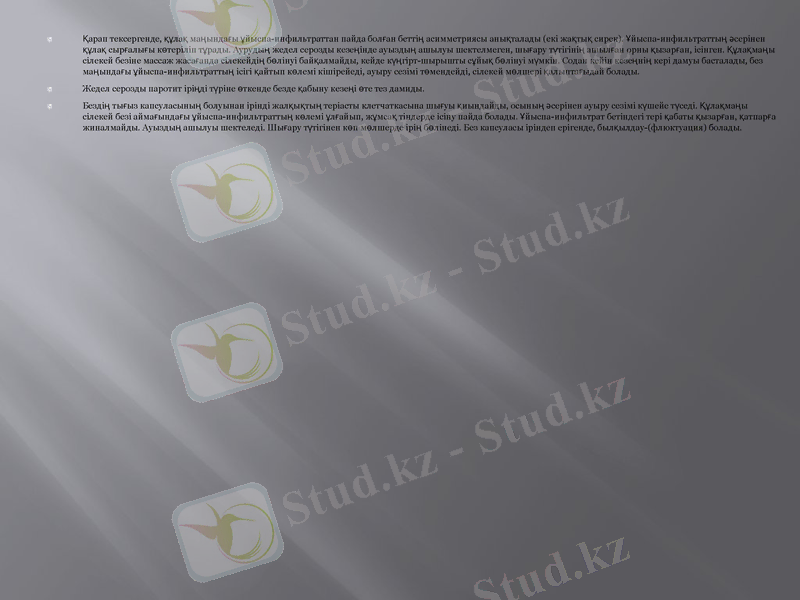 Slide 23