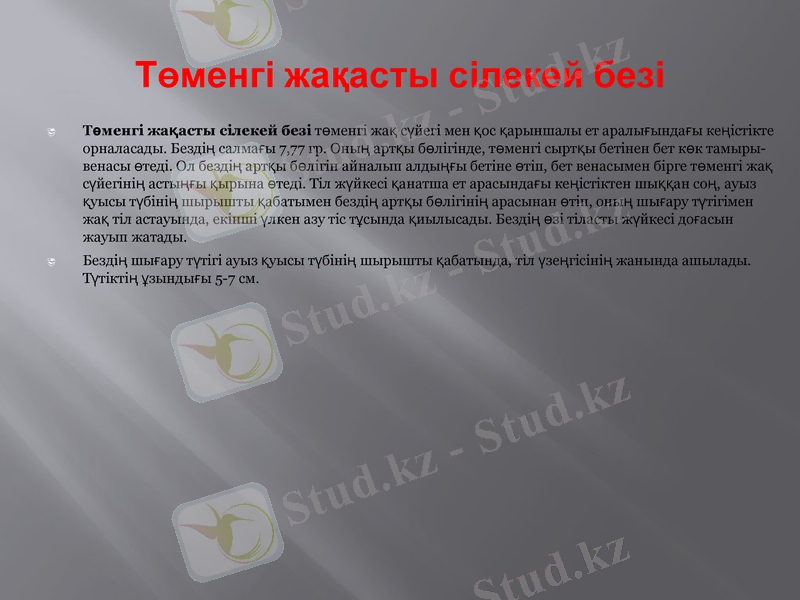 Slide 7
