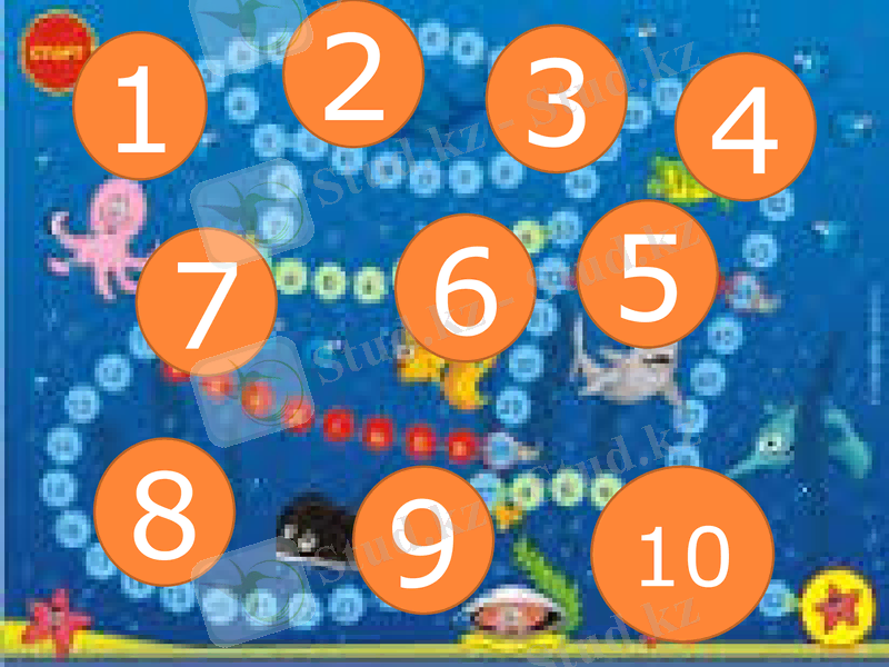 Slide 10
