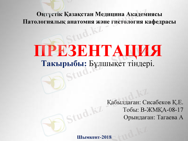Slide 1
