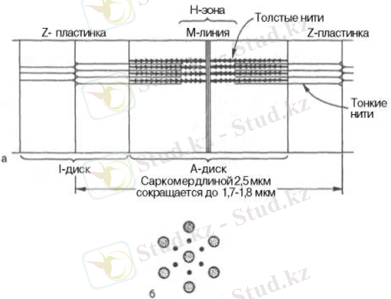 Slide 12