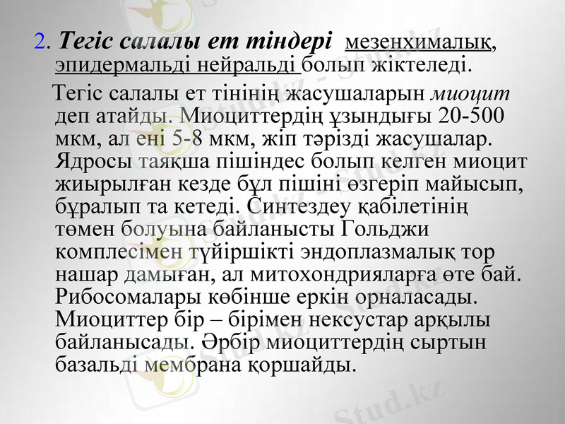 Slide 13
