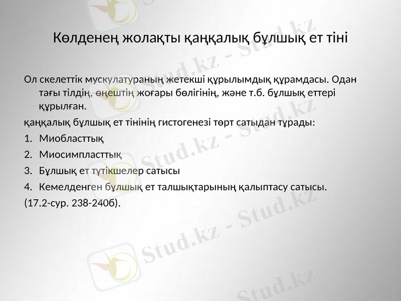 Slide 17