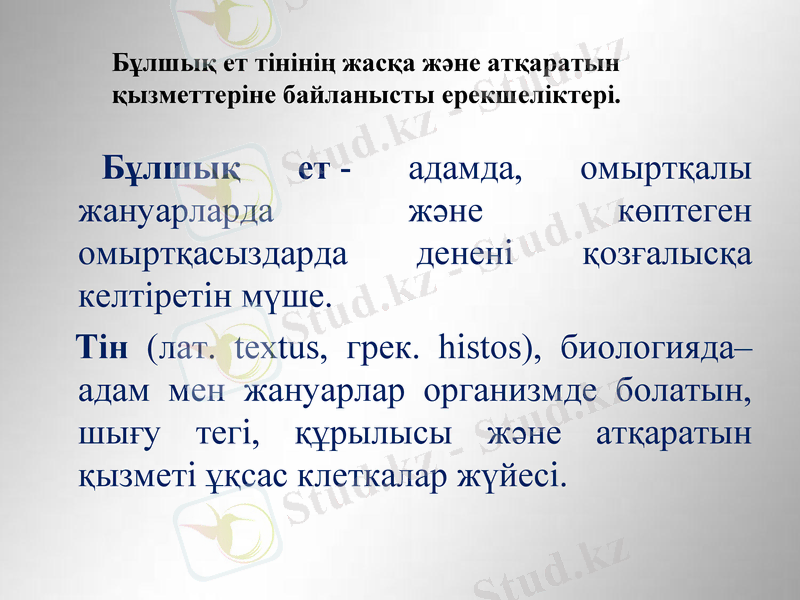 Slide 18