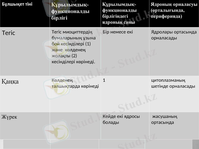 Slide 19