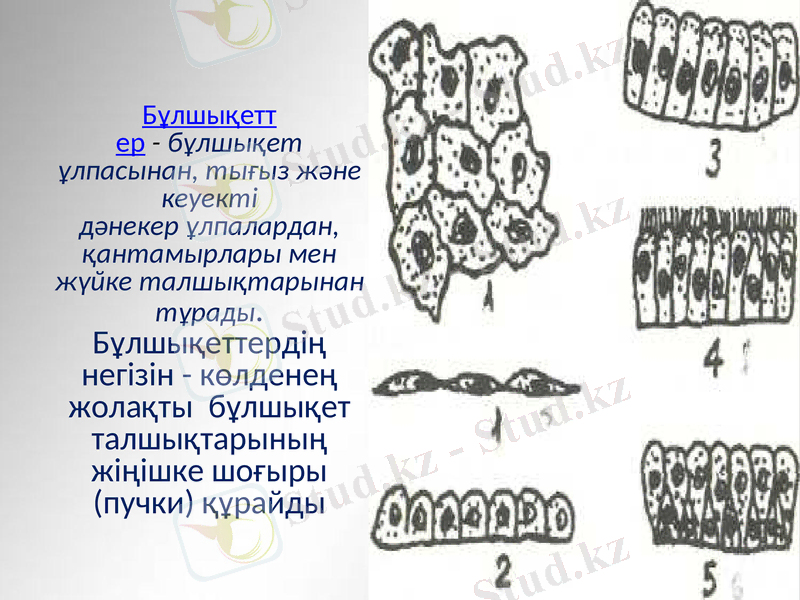 Slide 20