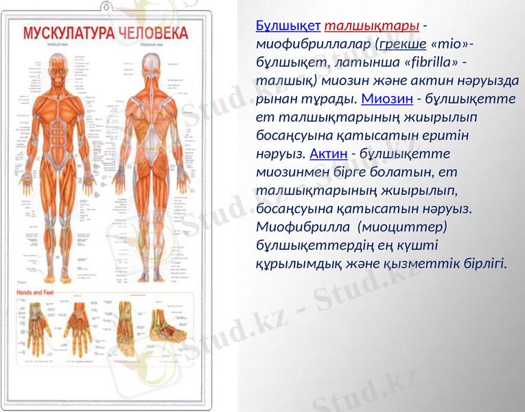 Slide 21