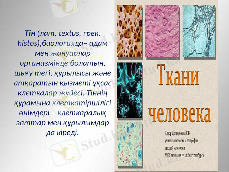 Slide 22