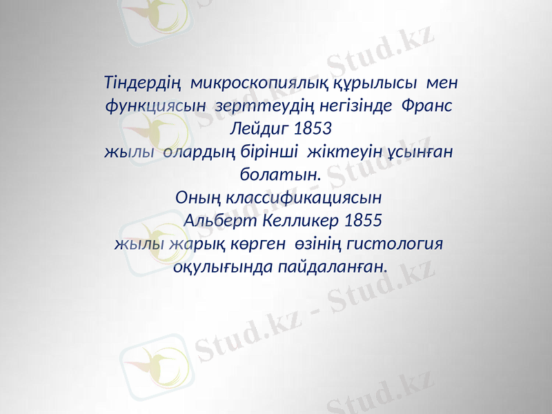 Slide 23