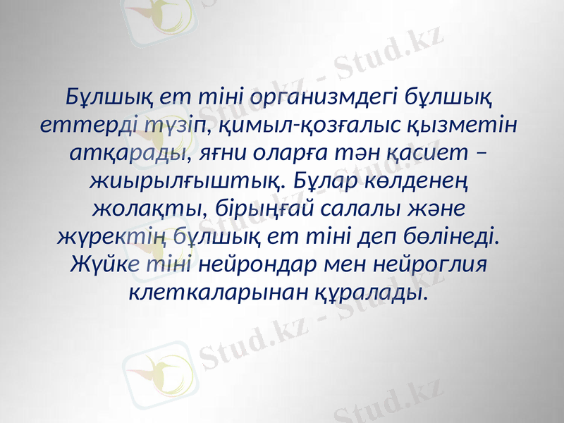 Slide 24