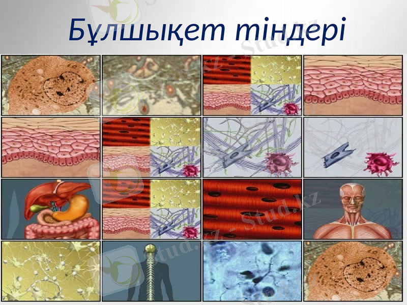 Slide 25