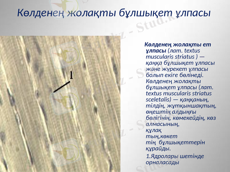 Slide 28