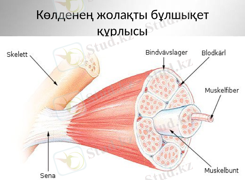 Slide 29