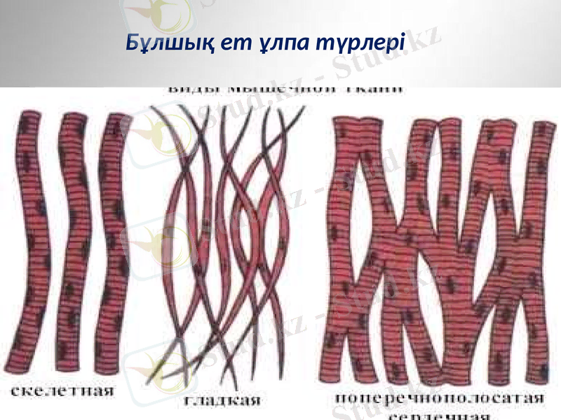 Slide 31