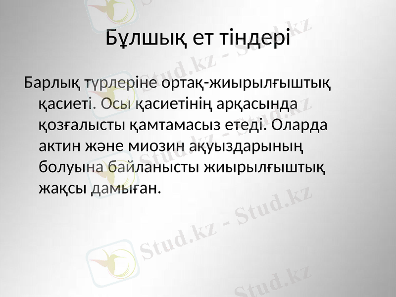Slide 6