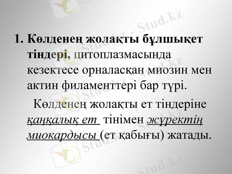Slide 7