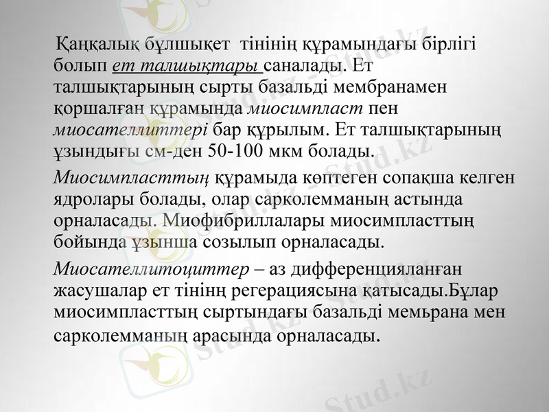 Slide 8