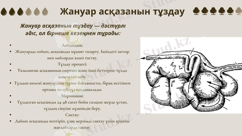 Slide 12