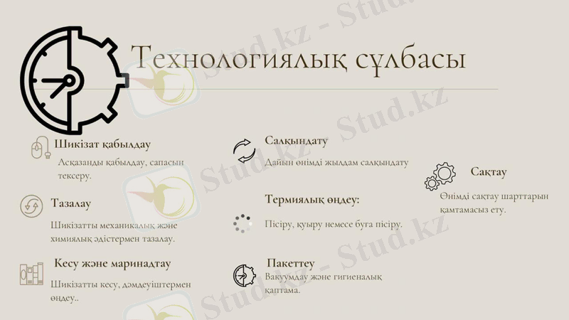 Slide 13