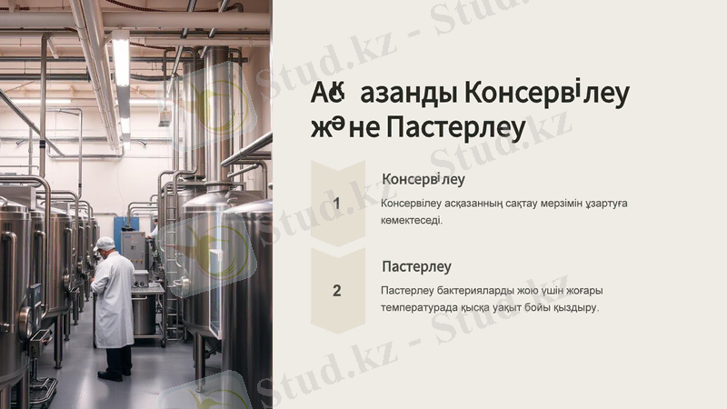 Slide 8