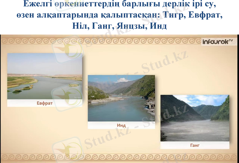 Slide 8