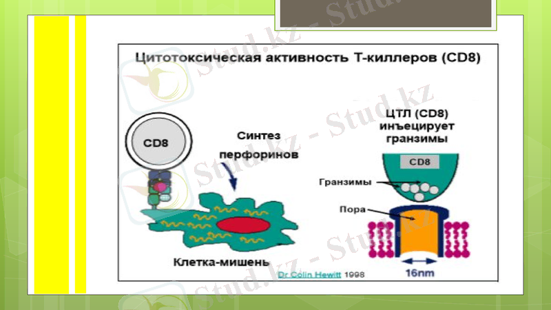 Slide 10