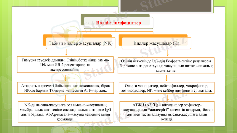 Slide 11