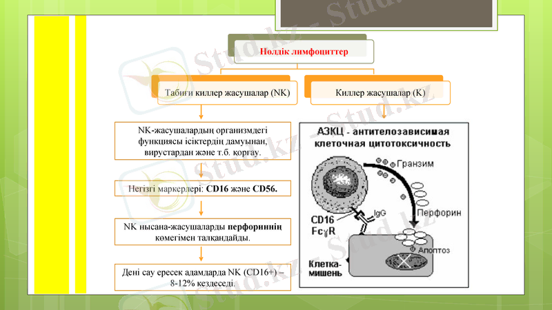 Slide 12