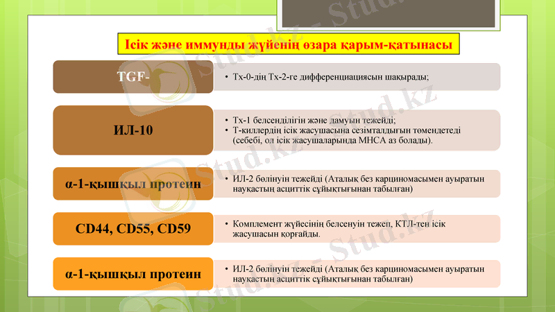 Slide 13