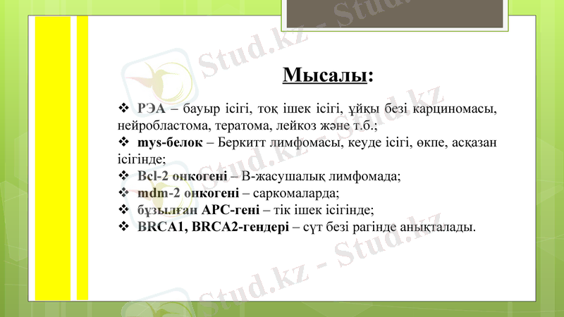 Slide 15