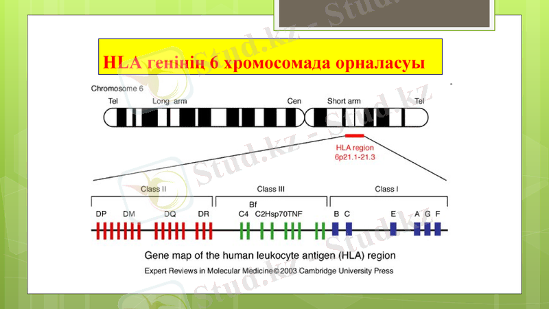 Slide 16