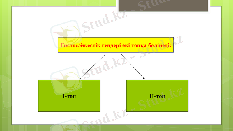 Slide 17