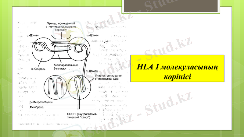 Slide 19