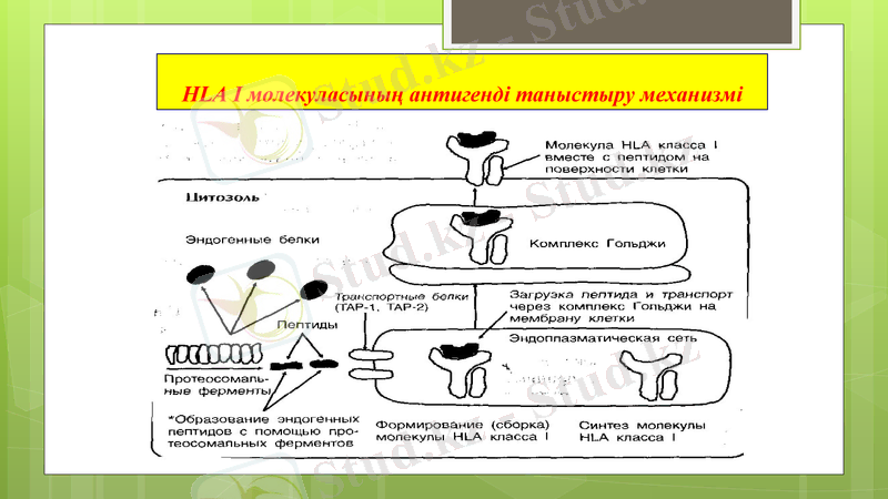 Slide 20