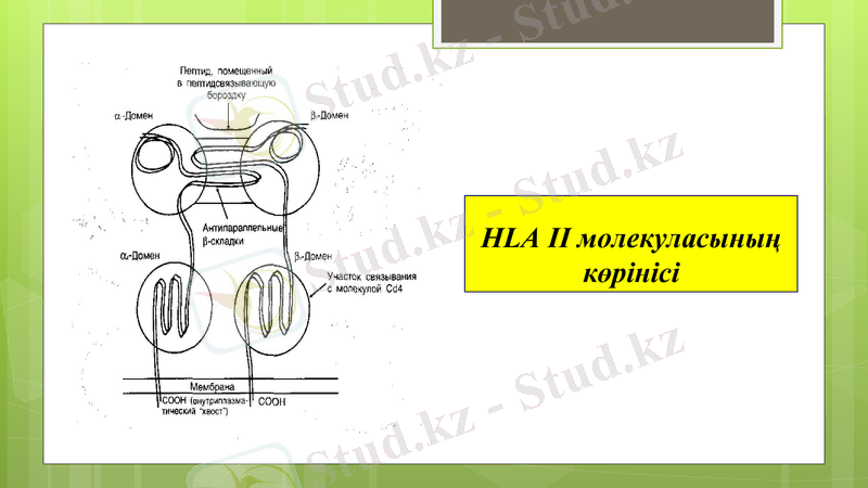 Slide 23