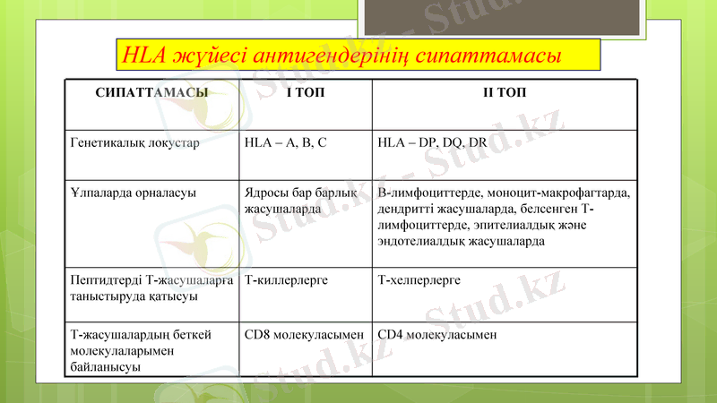 Slide 25