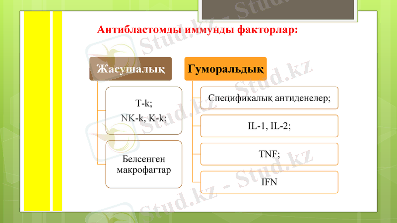 Slide 5