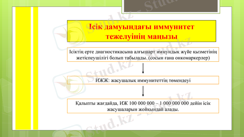 Slide 6