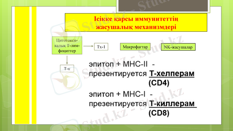 Slide 8